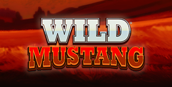 Wild mustang