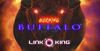 Burning Buffalo