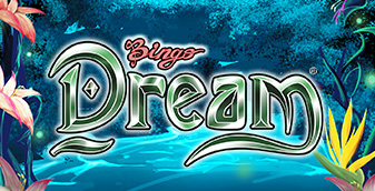 Bingo Dream