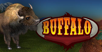 Buffalo bingo 
